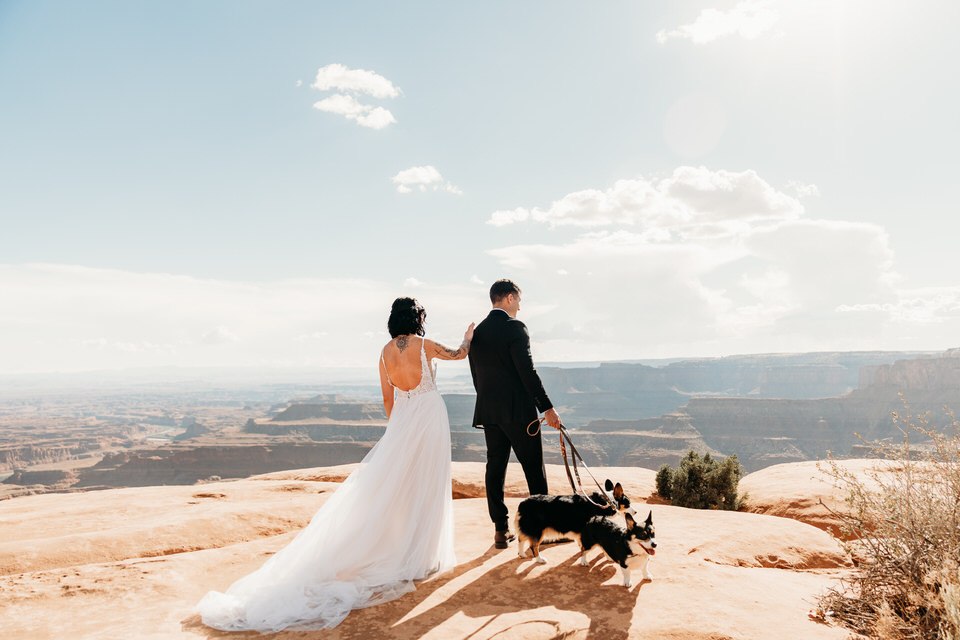 Dogs at Moab elopement first look