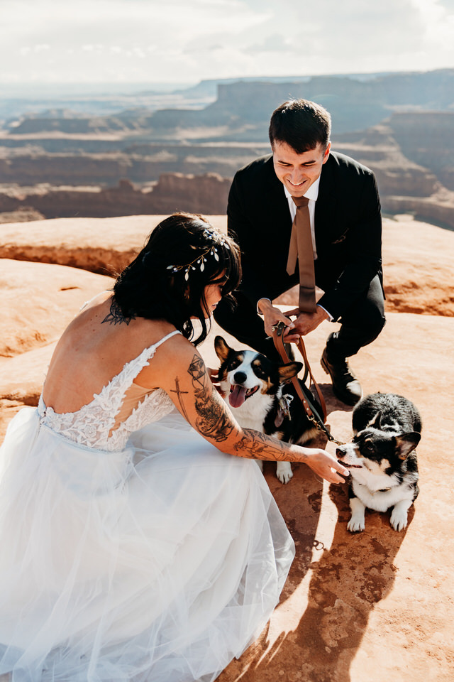 Dogs at wedding ceremony in Moab