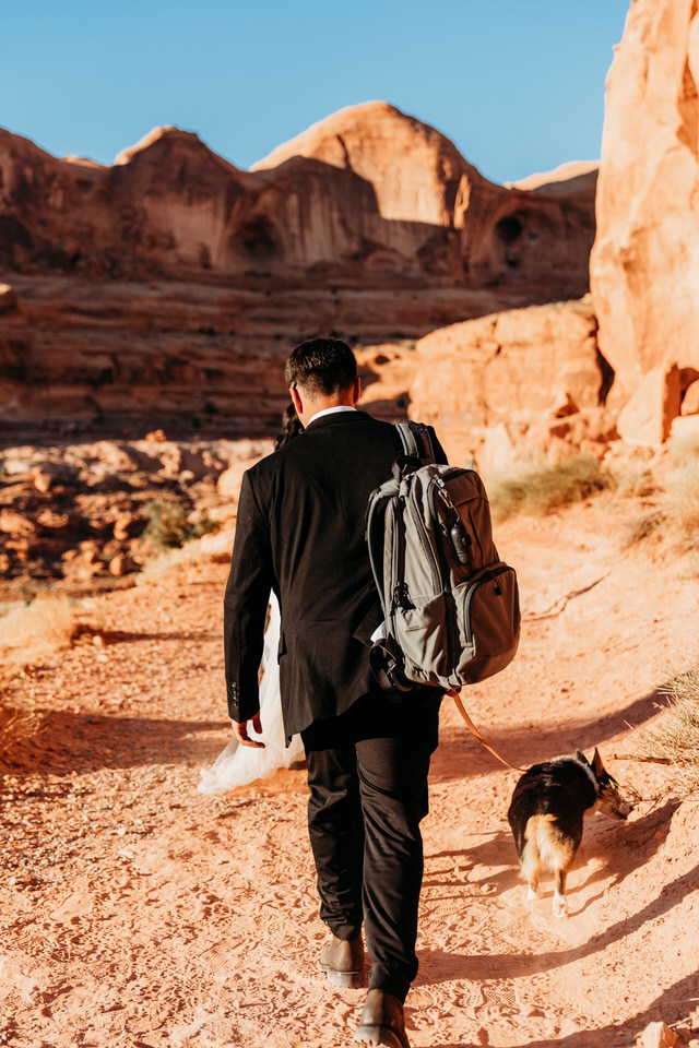 Hiking with dogs at an elopement