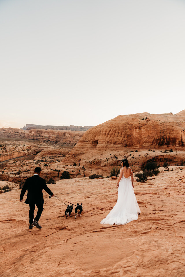 Wedding photos with dogs in Utah