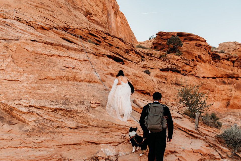 Bride hiking in wedding dress with dogs