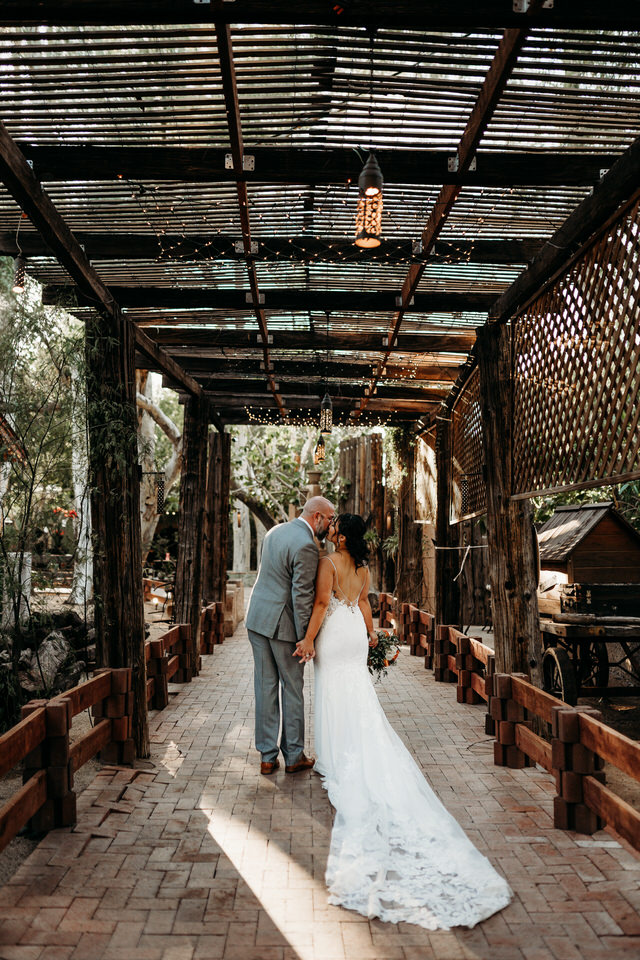 Boojum Tree Tree Hidden Gardens Wedding in Phoenix 