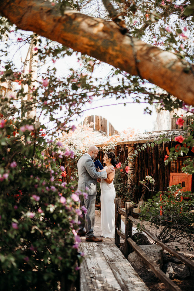 Boojum Tree Hidden Gardens, Phoenix wedding portraits