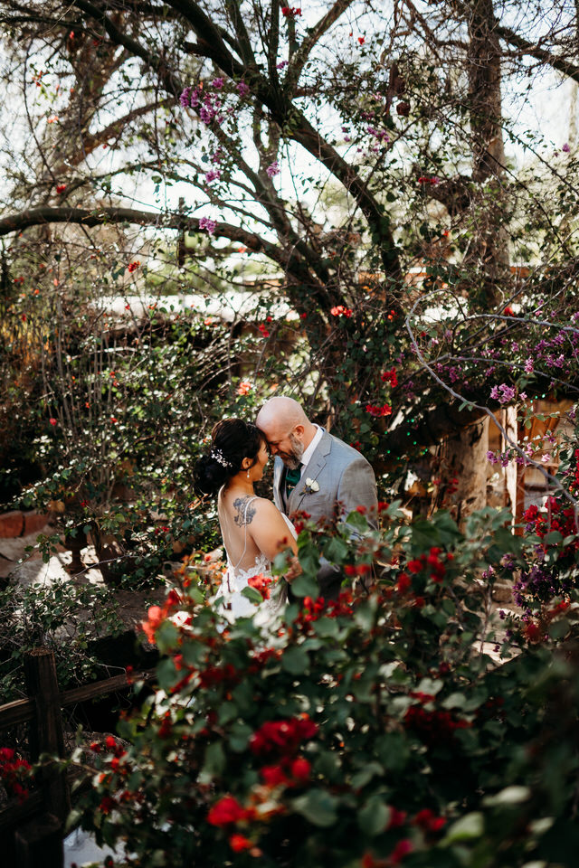 Boojum Tree Tree Hidden Gardens Wedding