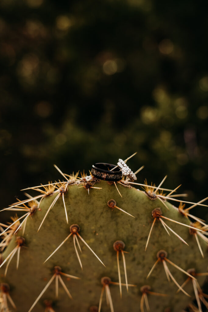 Arizona northern lights elopement featuring an intimate desert wedding day focused on presence and connection.